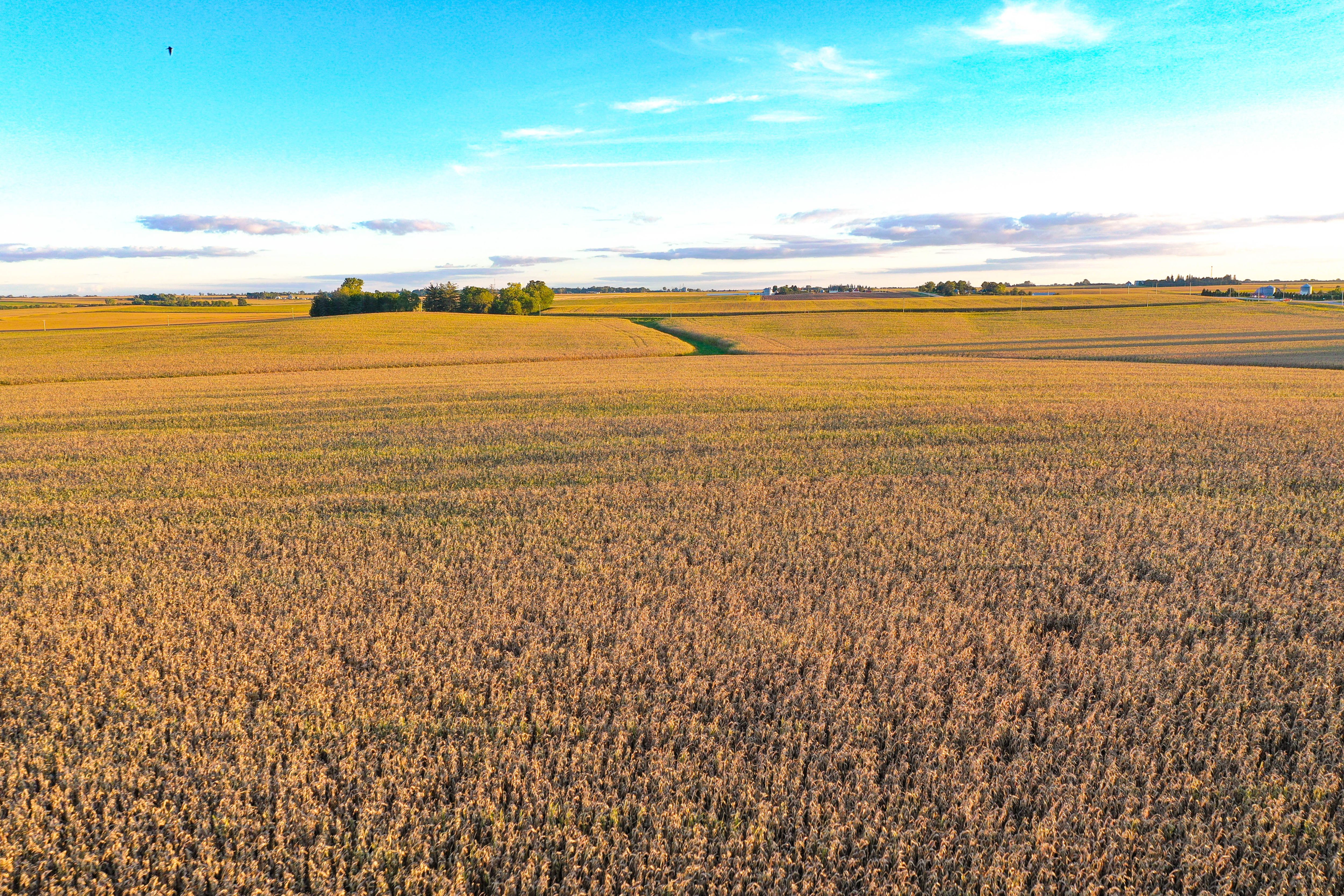 Listing Photo: 19-Allison Iowa Land Available